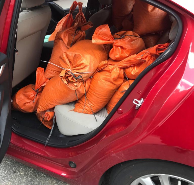 Chapter assists advisor in storm prep