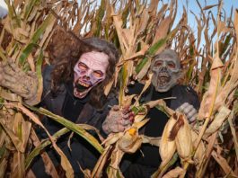 UNK fraternities team up to raise funds for charities