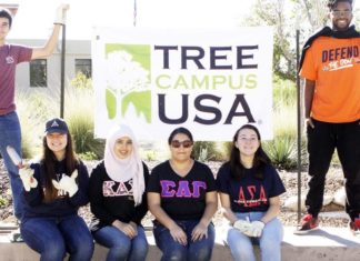 UTEP Recognized as Tree Campus USA by Arbor Day Foundation