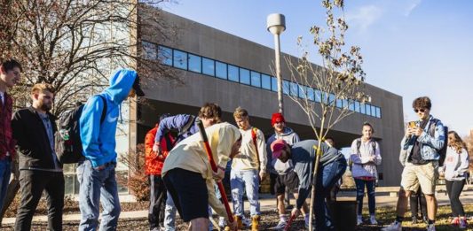 Chapter plants tree to promote recycling