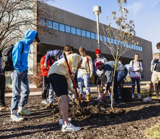 Chapter plants tree to promote recycling