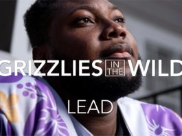 Grizzlies in the Wild | Lead