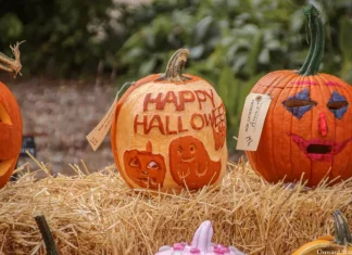 Penn State Interfraternity And Panhellenic Councils To Host ‘Greek-Or-Treat’ October 26