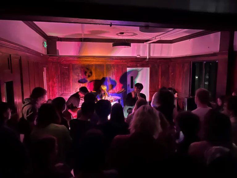 Alpha Delta Delta puts on charity concert