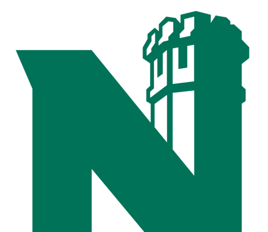 Senate gives funding to organizations, fraternities for conference trips