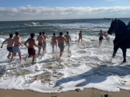Polar Plunging for a Good Cause