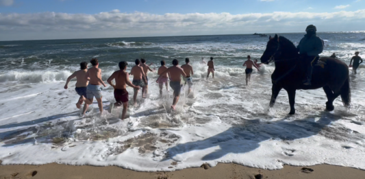 Polar Plunging for a Good Cause