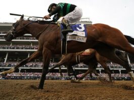 Sigma Nu at the 150th Kentucky Derby