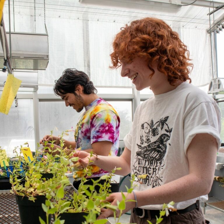 Sanchez explores evolutionary genetics