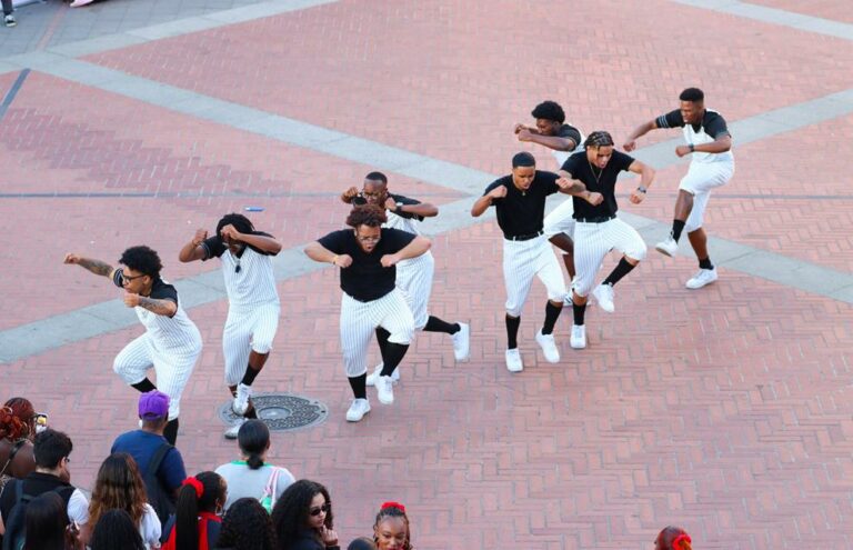 Black Greek organizations entertain and advocate in annual yardshow