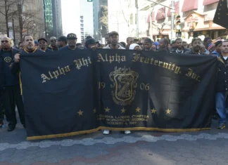 Beyond the stereotype: An Alpha’s witness to enduring leadership