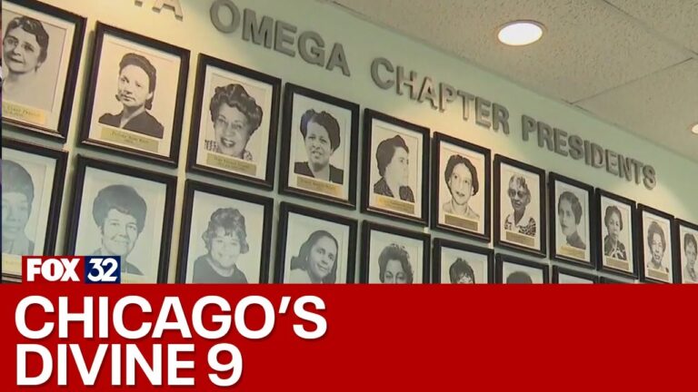The ‘Divine 9’: Chicago’s Black Greek organizations rally to support those in need