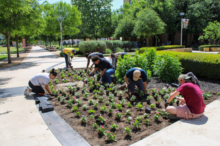 Gardening skills bloom at SGA flower-planting event