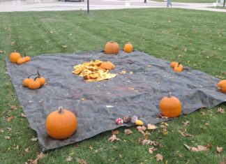 Fraternity raises funds with annual Pumpkin Smash