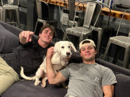 Tulane fraternities partner with local shelter to foster puppies