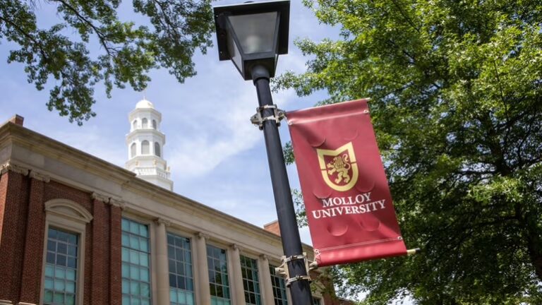 Molloy University making history with its first fraternity and sorority